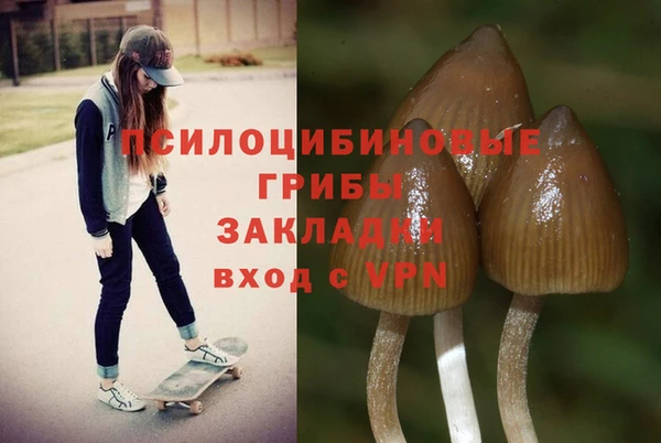 дживик Абинск