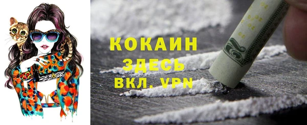 дживик Абинск