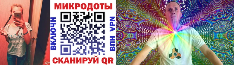 Псилоцибиновые грибы Psilocybe  Бокситогорск 